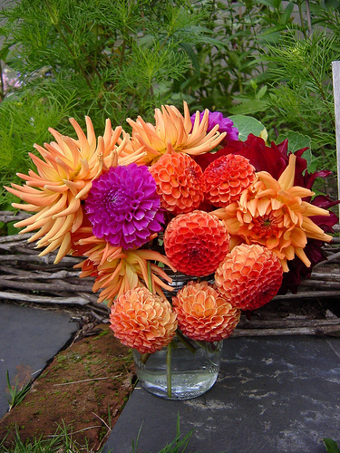 autumn-flowers-ideas-contrast1 (375x500, 187Kb)