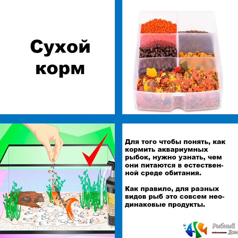 сухой-корм-для-рыбок