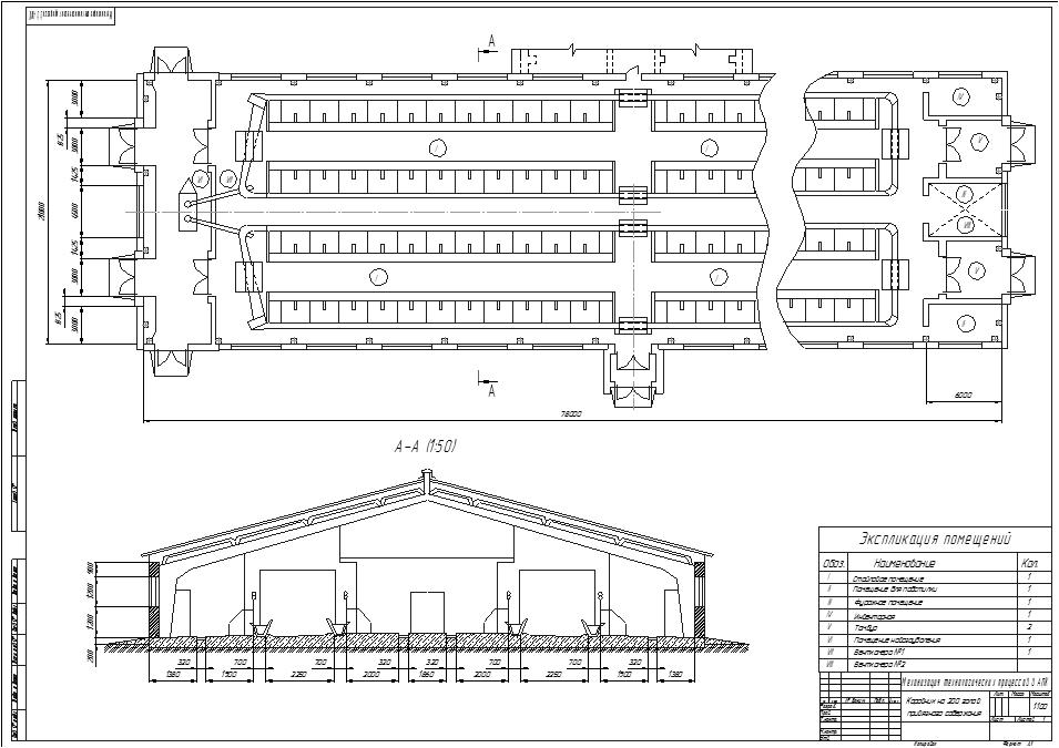 Чертеж коровника на 150 голов