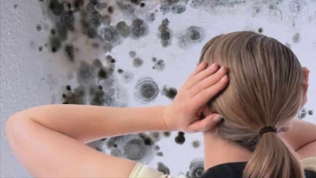 причины и признаки