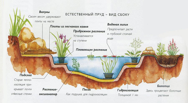 Пруды на даче своими руками — делаем сад ещё прекраснее