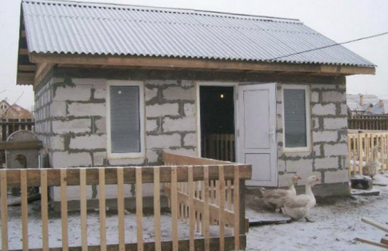 Гусятник Гусятник