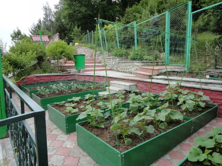 опоры для растений