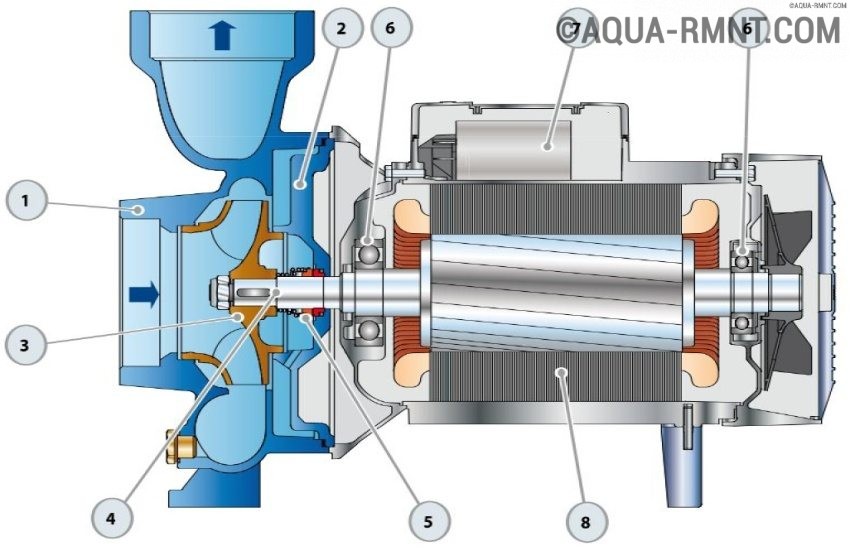 Схема центробежного насоса