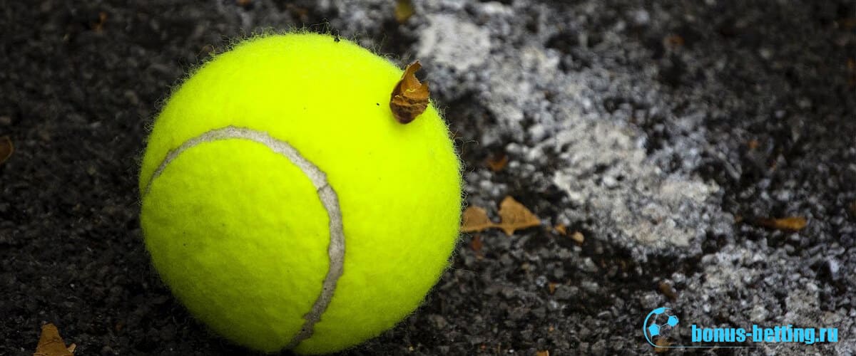 Виды теннисных кортов