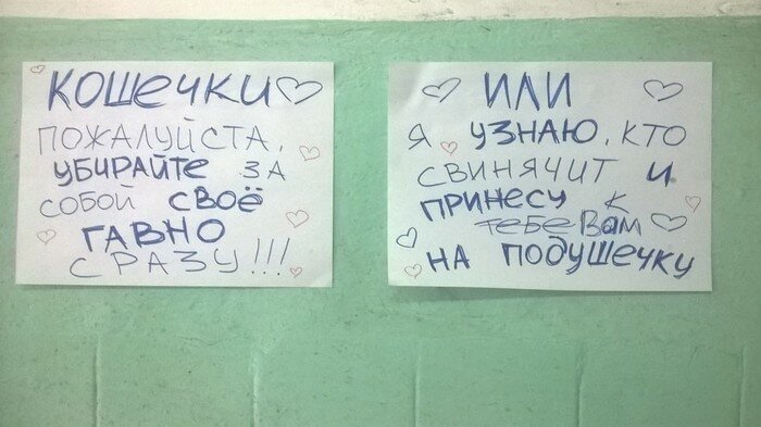 Здравствуй, тварь: неожиданные фотографии из женских общежитий Здравствуй, тварь: неожиданные фотографии из женских общежитий