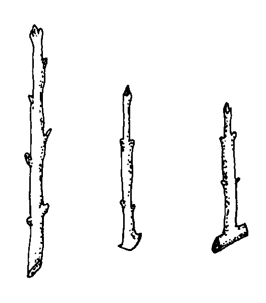 Hardwood cuttings types are straight, mallet, and heel