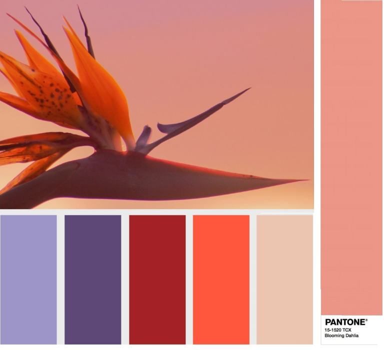Главные цвета весны 2018 по версии Института Пантон, фото № 17