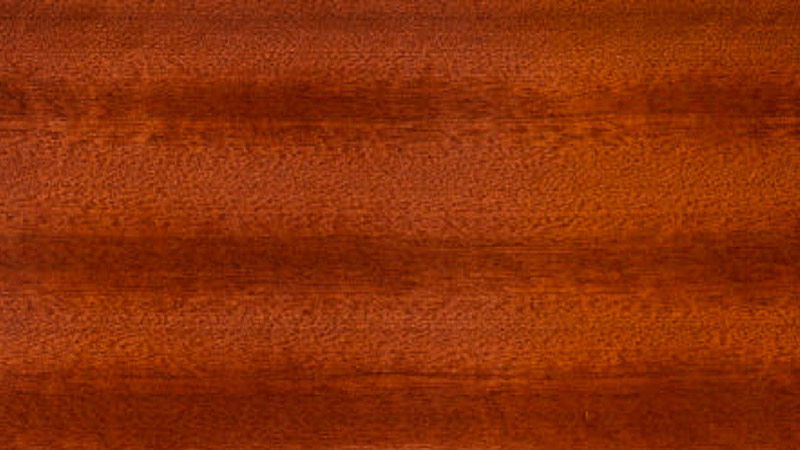 Ценные породы древесины, фото № 5