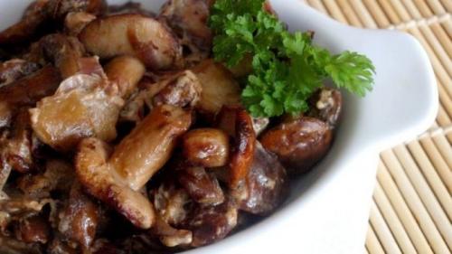 Белый польский гриб способ приготовления. Как вкусно пожарить польский гриб? Самые лучшие рецепты!