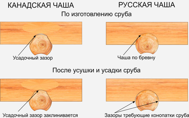 различия русской чаши и канадской