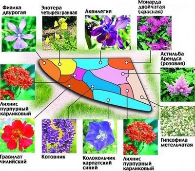 Цветник для оформления угла участка Цветник для оформления угла участка