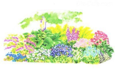 Рисунок клумбы Рисунок клумбы
