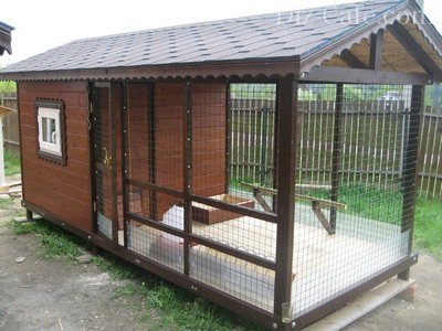 Курятник с тамбуром Курятник с тамбуром