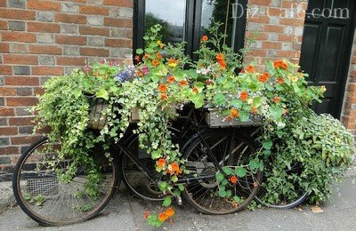 Вариант декорирования стены Вариант декорирования стены