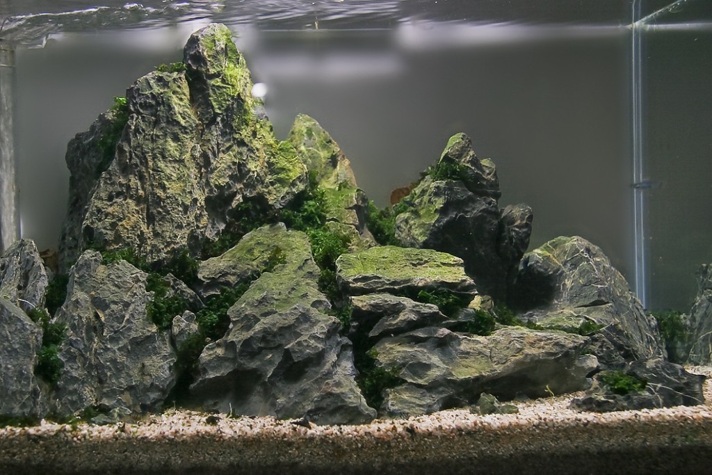 Декоративные камни за стеклом комнатного аквариума