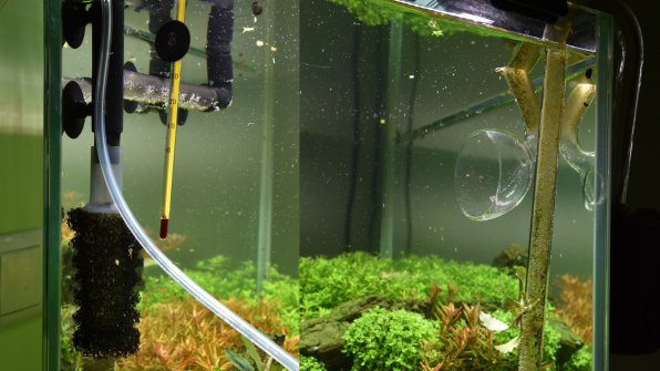 Выходы из внешних аквариумных фильтров: лилик и флейта