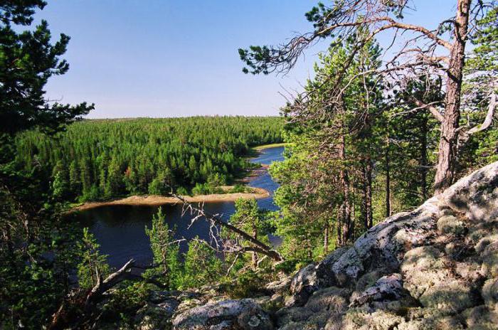 карельские леса