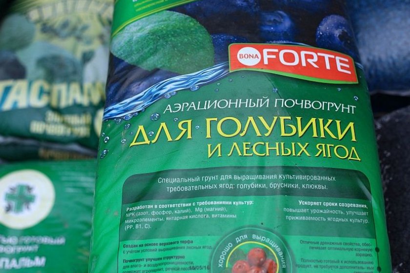 Грунт для голубики