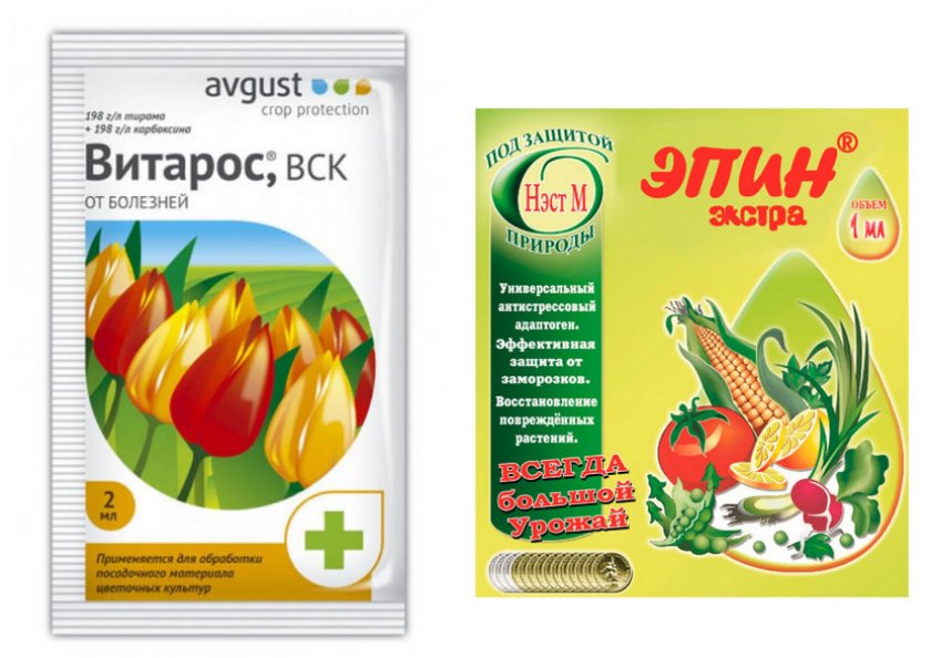 «Витарос» и «Эпин»