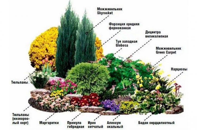 Альпийская горка с хвойными Альпийская горка с хвойными