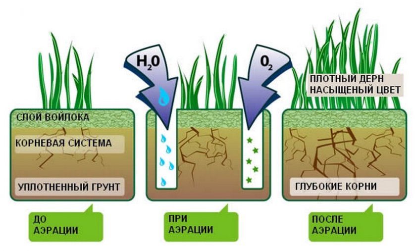 Уход за газоном