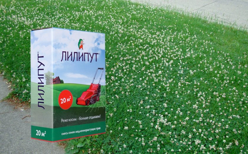 Газон для «ленивых»