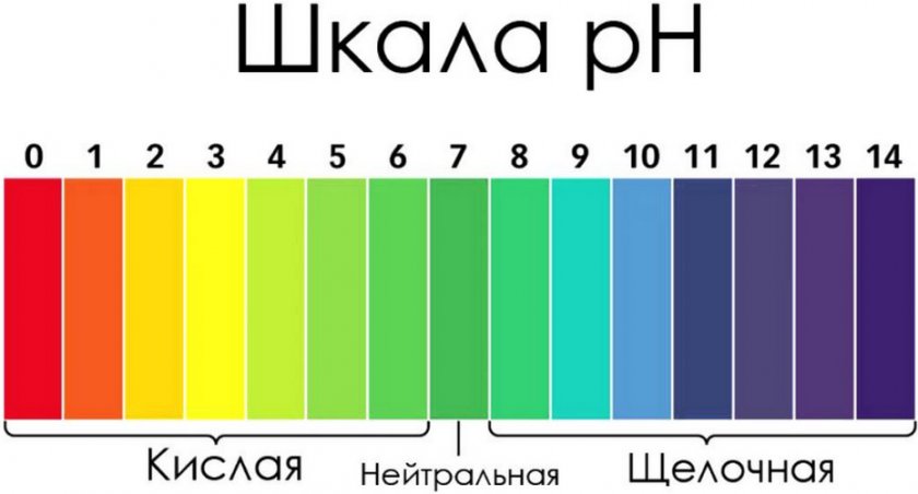 Шкала кислотности воды Шкала кислотности воды