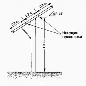 Т-образный вариант