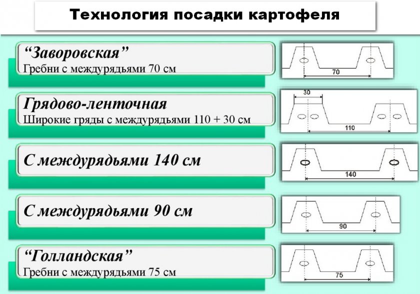 Технология посадки картофеля