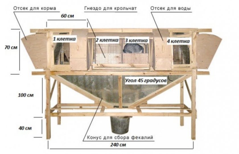 Чертёж крольчатника созданного Михайловым