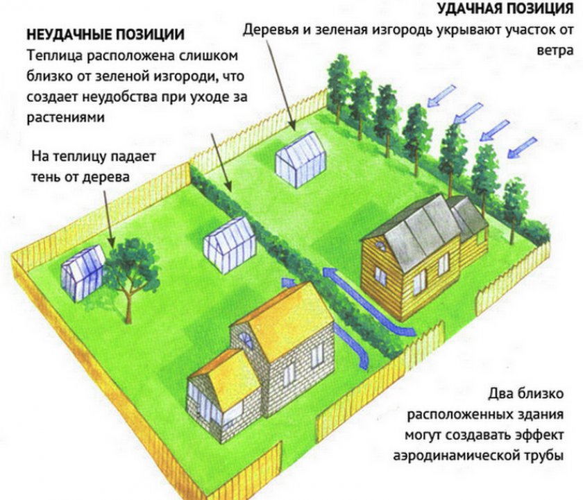 Место для теплицы