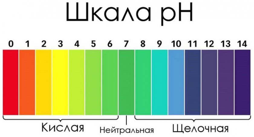 Шкала кислотности почвы