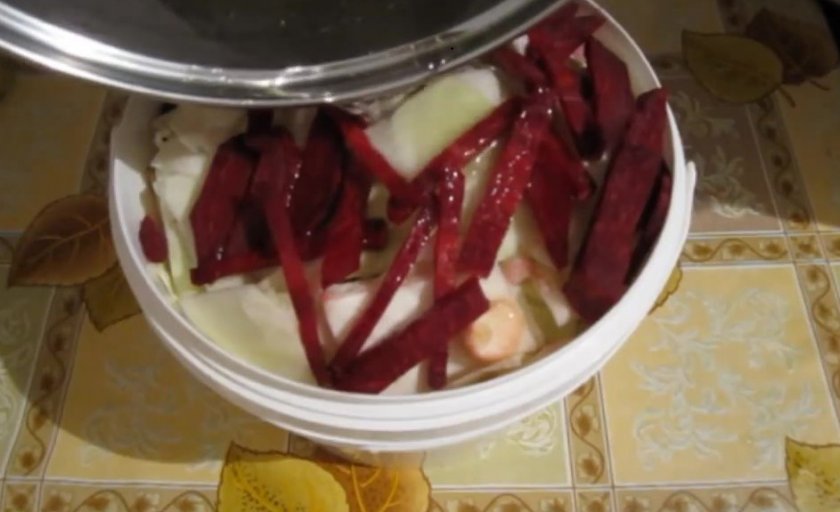 Капуста для квашения