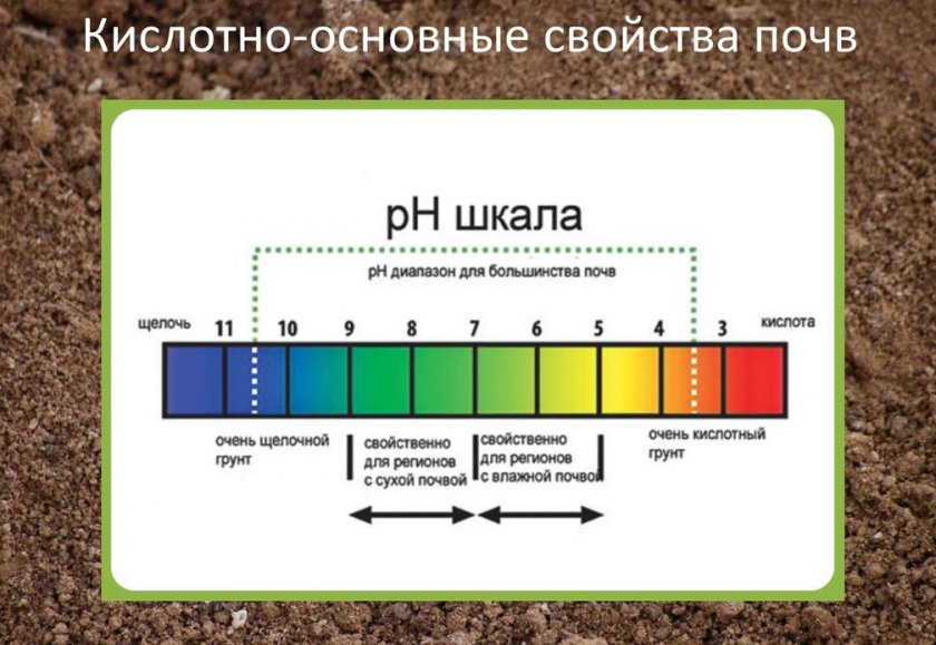 Кислотность почвы