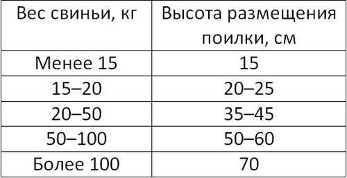 Бункерные кормушки для свиней своими руками чертежи