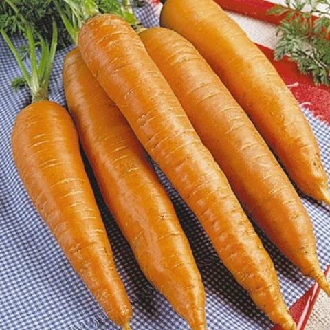 «Флакке»