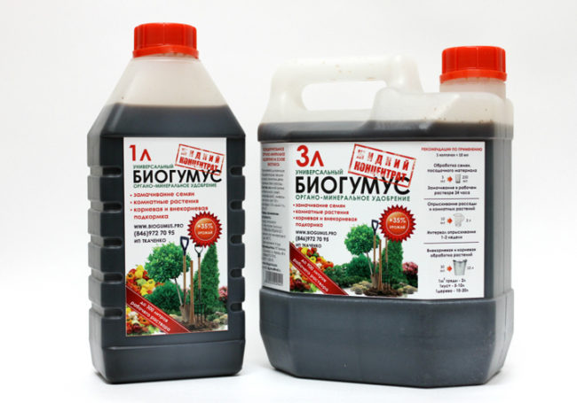 Две канистры с препаратом "Биогумус" для подкормки садовой клубники
