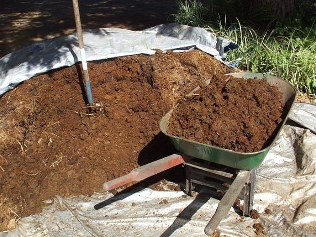 Тележка с перегноем для клубники