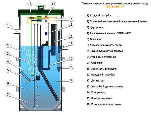 Евробион 5 схема