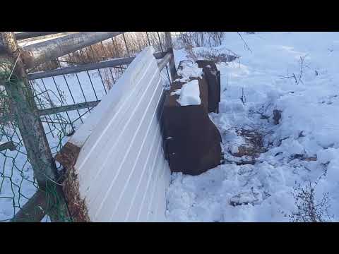 Купил 30 голов овец за 120тясяч