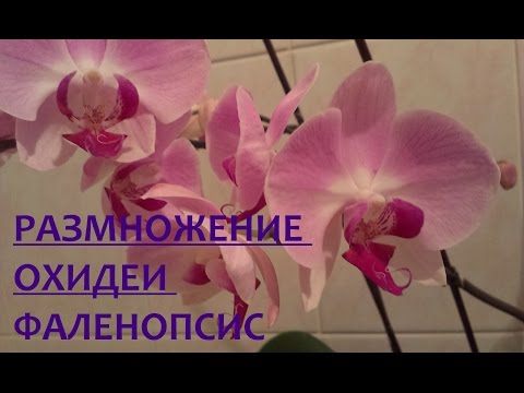 Изображение 4 Изображение 4