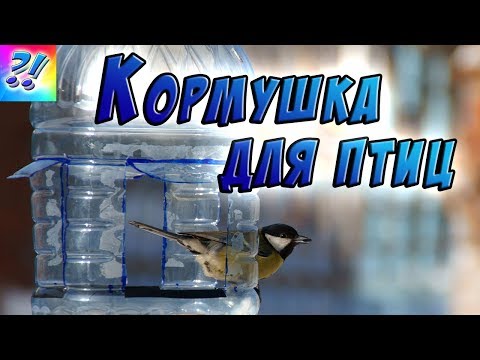 Кормушка для птиц из пластиковой бутылки. Bird feeders.