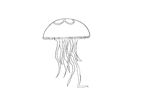 How to Draw a Jellyfish / Как нарисовать медузу