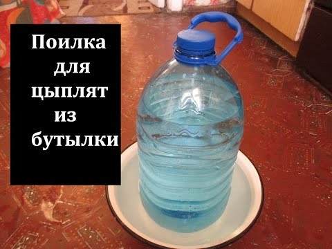 Поилка для кур, из пластиковой бутылки, своими руками.