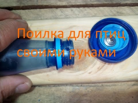 Поилка - делаем поилку для птиц своими руками