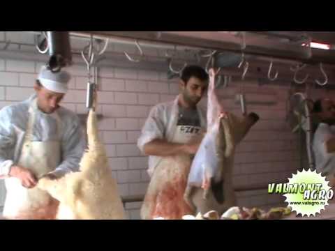 Линия убоя овец 100 голов в час