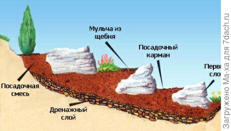 Альпийская горка своими руками – сложно, но можно