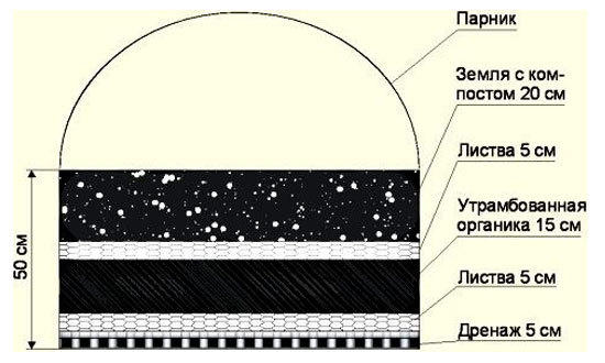 Еще один вариант наполнения теплой грядки. Изображение с сайта sadteplica.ru