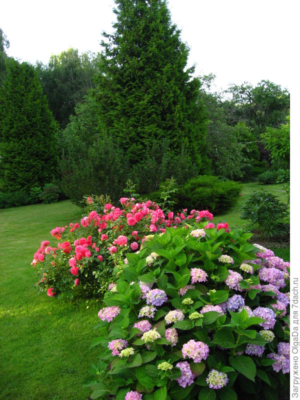 Rosarium Uetersen
